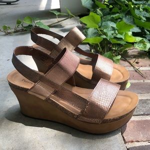 Pierre Dumas Wedges